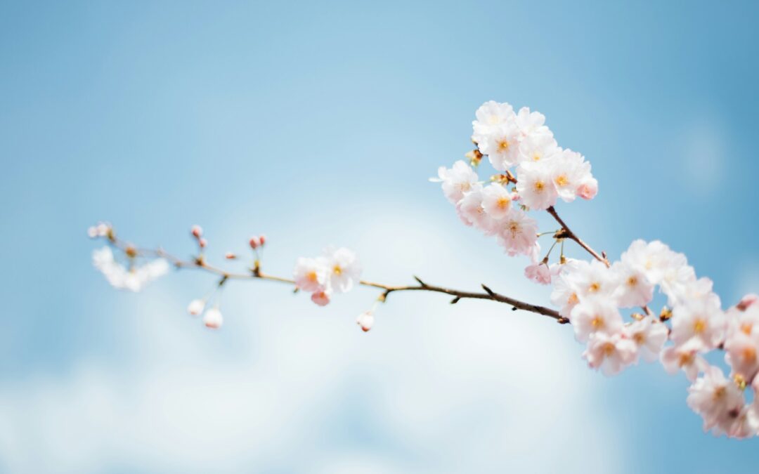 Langzaam door de lente