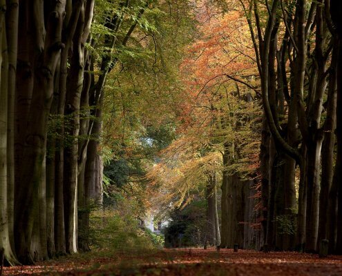 Jagershuis2 Innerlijke rust